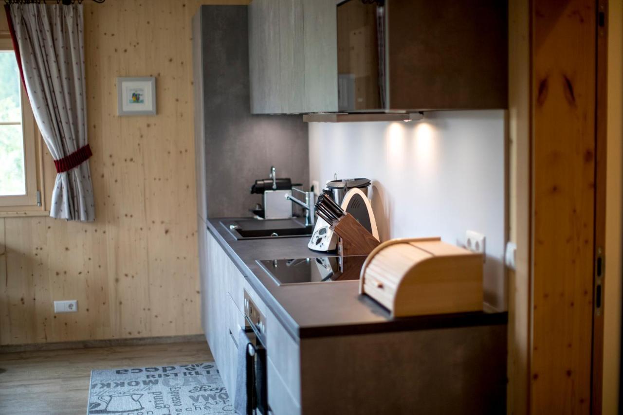 Konradgut 11 - Ruhe Und Aussicht Auf 1140M Apartment Sankt Lorenzen ob Murau Luaran gambar